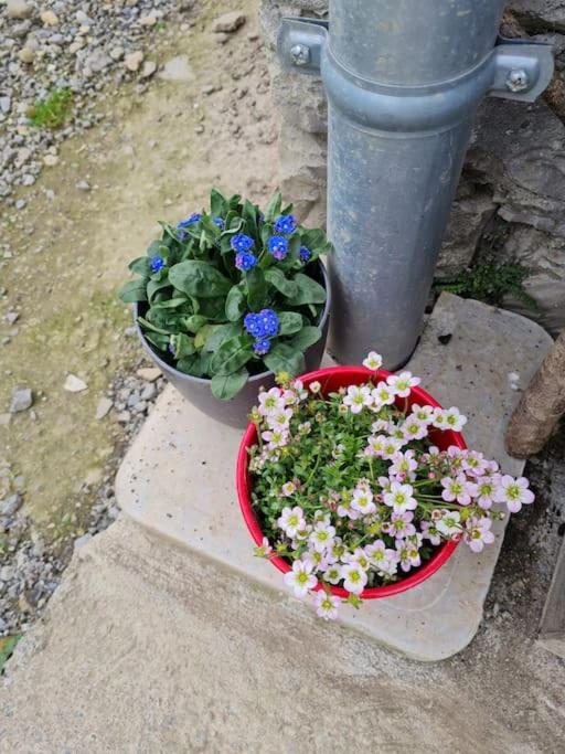 Appartement De La Laiterie Avec Petit Jardin. Eysus Exteriér fotografie
